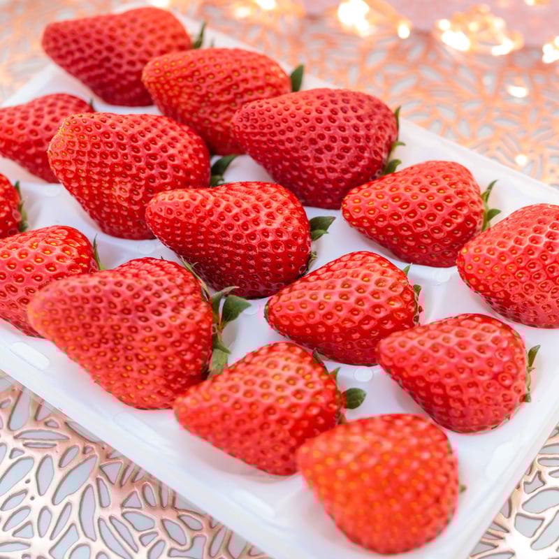 贈答用赤イチゴ9~15粒 | 三ツ間農園 STORE