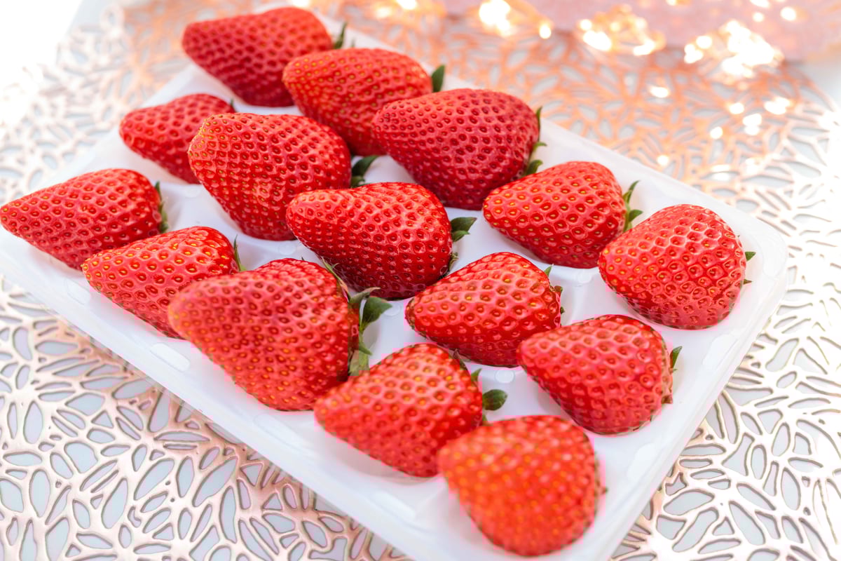 贈答用赤イチゴ12~15粒 | 三ツ間農園 STORE