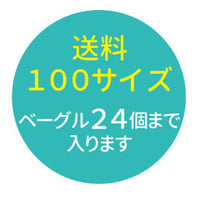 100サイズ送料