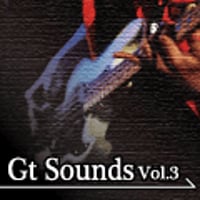 Gt Sounds Vol.3【CR06-003】