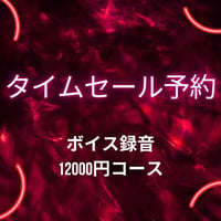【タイムセール予約】ボイス録音のみ12000円