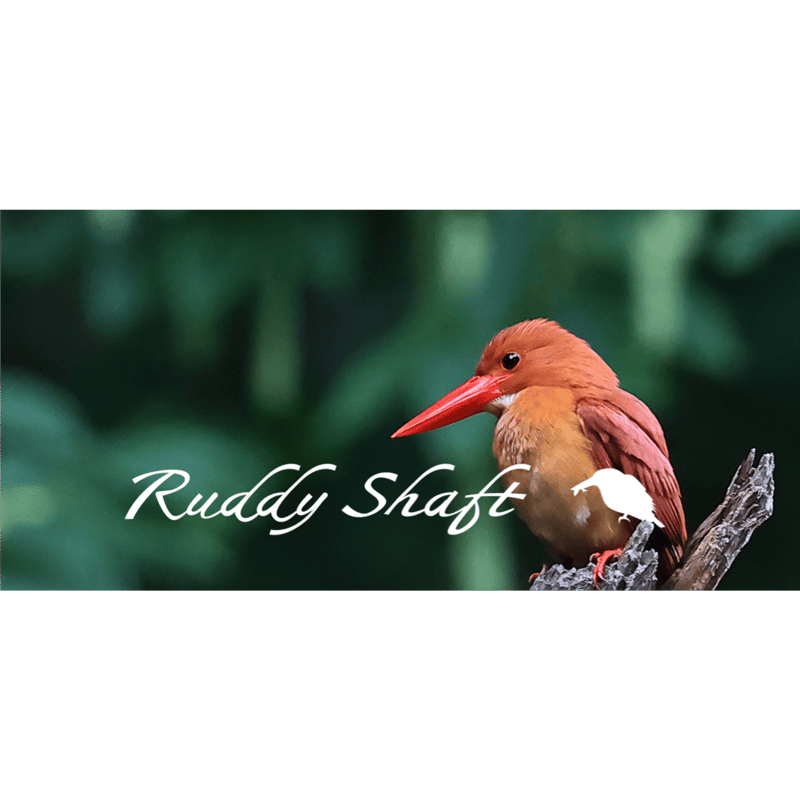 Ruddy shaft 72 Limited Edition | CANDY