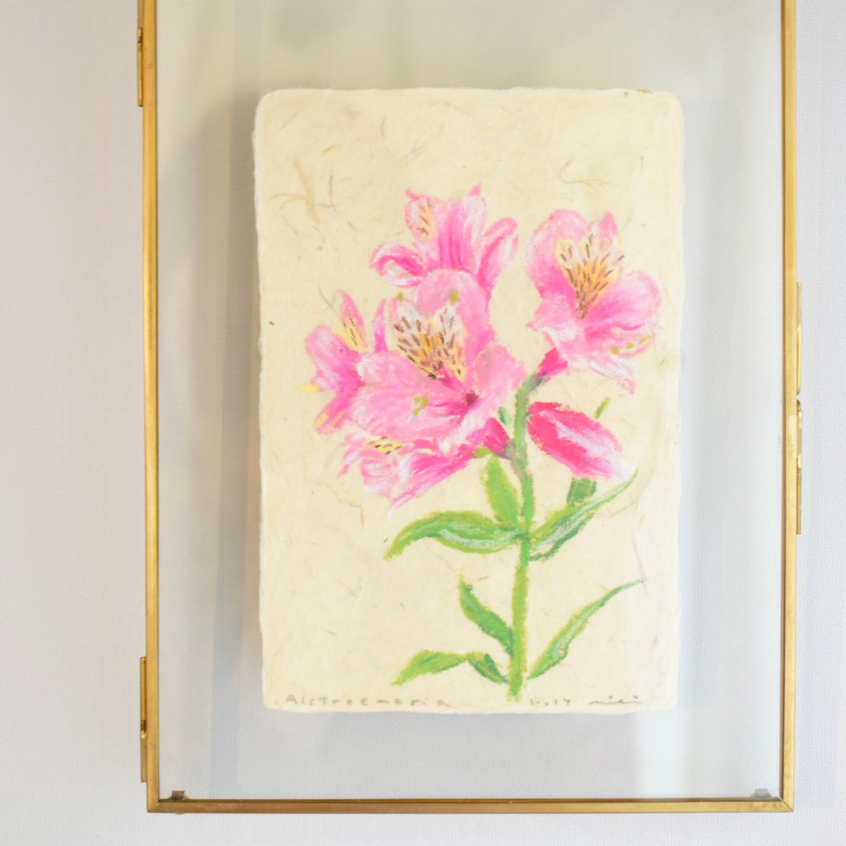 アルストロメニアの日本画 1854年 Sweet Ornamental Flower Garden Pl.183 ユリズイセン科