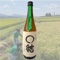 ＊クール便発送　長岡農業高校生が育てた米で醸したお酒　令和七年度版