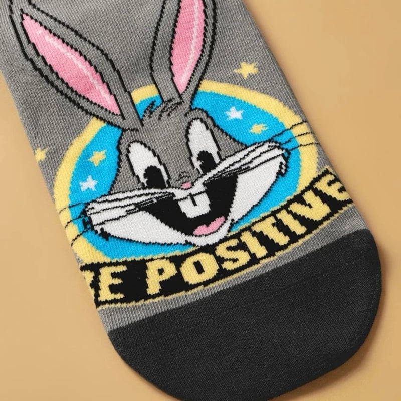 LOONEY TUNES レディースソックス 2足セット【ルーニーテューンズ