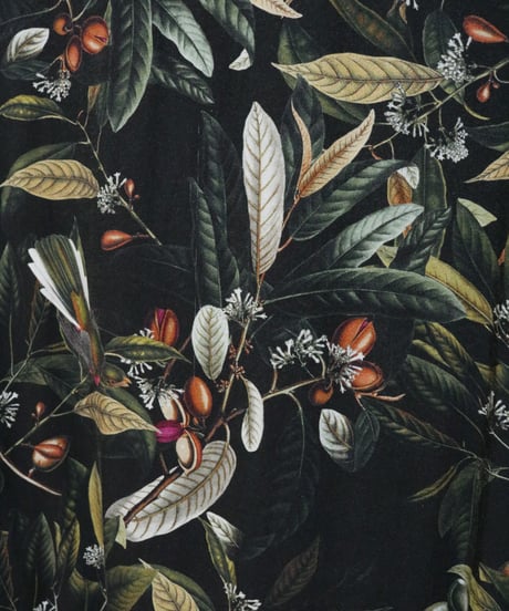 Still Life Shirts