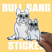 ▷BULLGANG