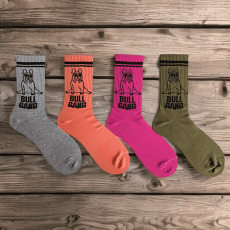 定番socks 🆕color