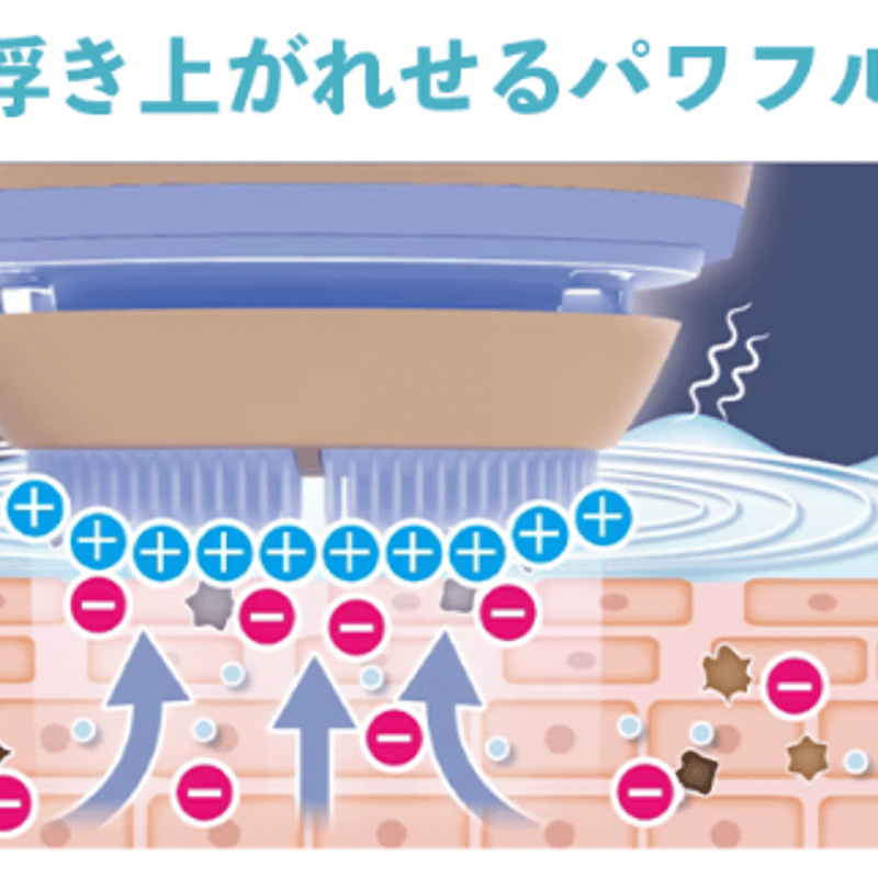 ZOGANKIN OVO ゾーガンキン オーヴォ | Lycka online SHOP