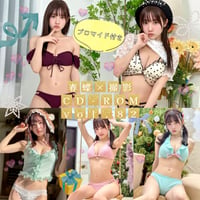 春蝶×撮影CD-ROM /// vol.82🐥🦌【300枚✨️】ﾌﾞﾛﾏｲﾄﾞ付き撮影ﾃﾞｰﾀ入りCD-ROM💿