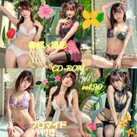 春蝶×撮影CD-ROM /// vol.90🐥💐【300枚✨️】ﾌﾞﾛﾏｲﾄﾞ付き撮影ﾃﾞｰﾀ入りCD-ROM💿