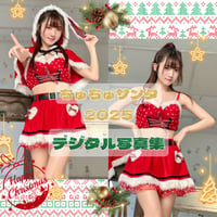 【常設】　ちゅちゅサンタ 2025🐥🎄🎁◤デジタルダウンロード版◢ 69枚💿️✨️