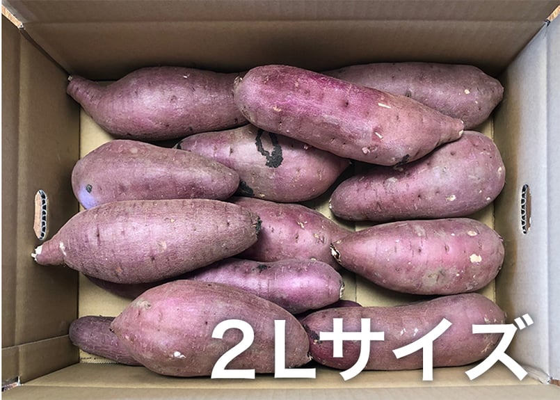 熟成紅はるか 10kg【送料無料】 | 芋匠南橋 オンラインショップ