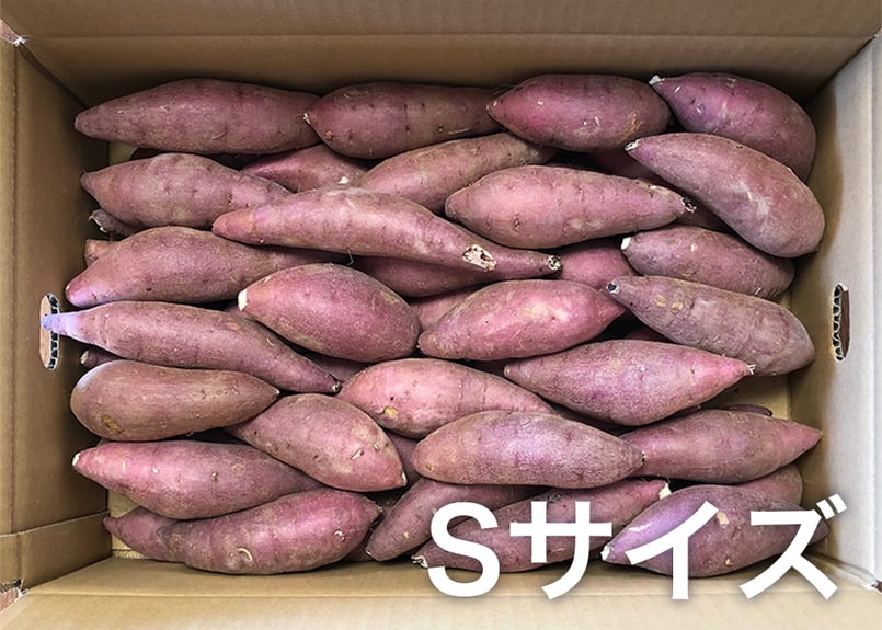 熟成紅はるか 10kg【送料無料】 | 芋匠南橋 オンラインショップ