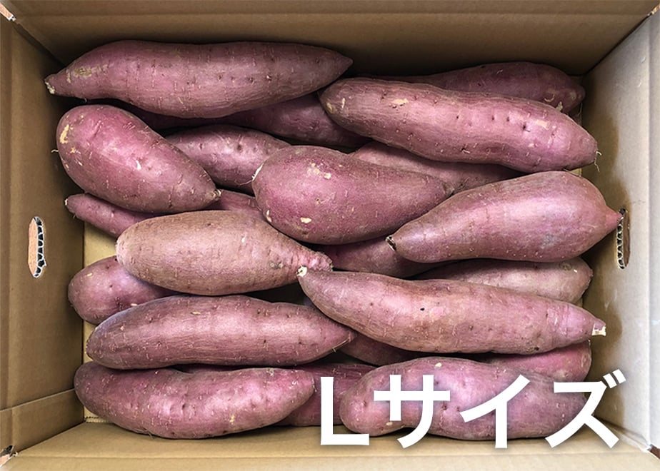 熟成紅はるか 10kg【送料無料】 | 芋匠南橋 オンラインショップ