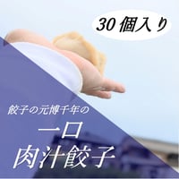 餃子の元博千年の手包み肉汁一口冷凍餃子30個入り
