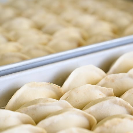 餃子の元博千年の手包み肉汁冷凍餃子20個入り