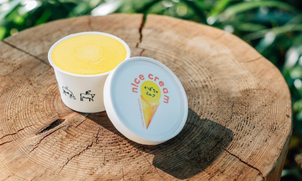 n!ce cream｜規格外野菜を使ったアイスクリーム