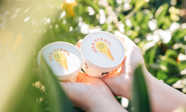 n!ce cream｜規格外野菜を使ったアイスクリーム