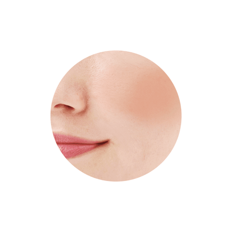 CEZANNE Natural Cheek N - ナチュラルチーク N