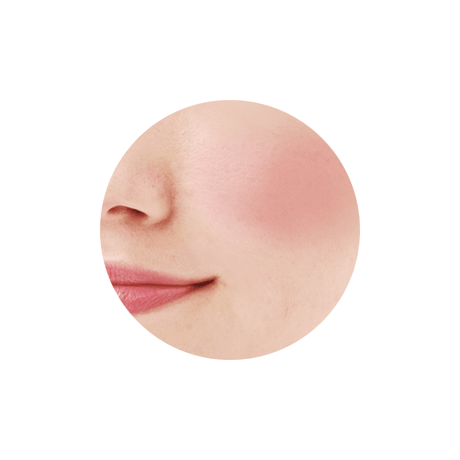 CEZANNE Natural Cheek N - ナチュラルチーク N