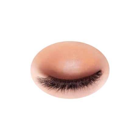 CEZANNE Toneup Eye Shadow (09~11) - トーンアップアイシャドウ