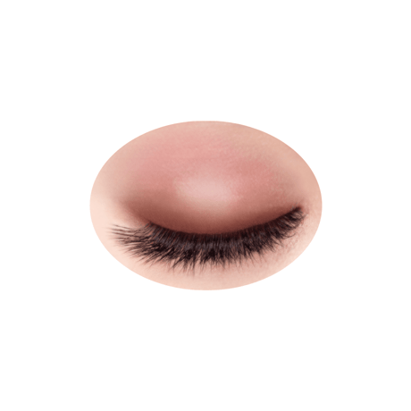 CEZANNE Toneup Eye Shadow (09~11) - トーンアップアイシャドウ