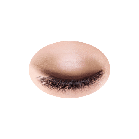 CEZANNE Toneup Eye Shadow (09~11) - トーンアップアイシャドウ