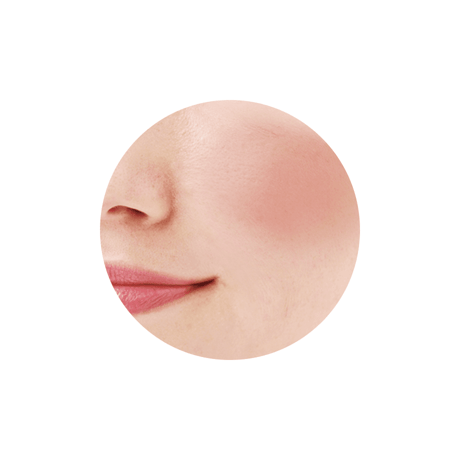 CEZANNE Natural Cheek N - ナチュラルチーク N
