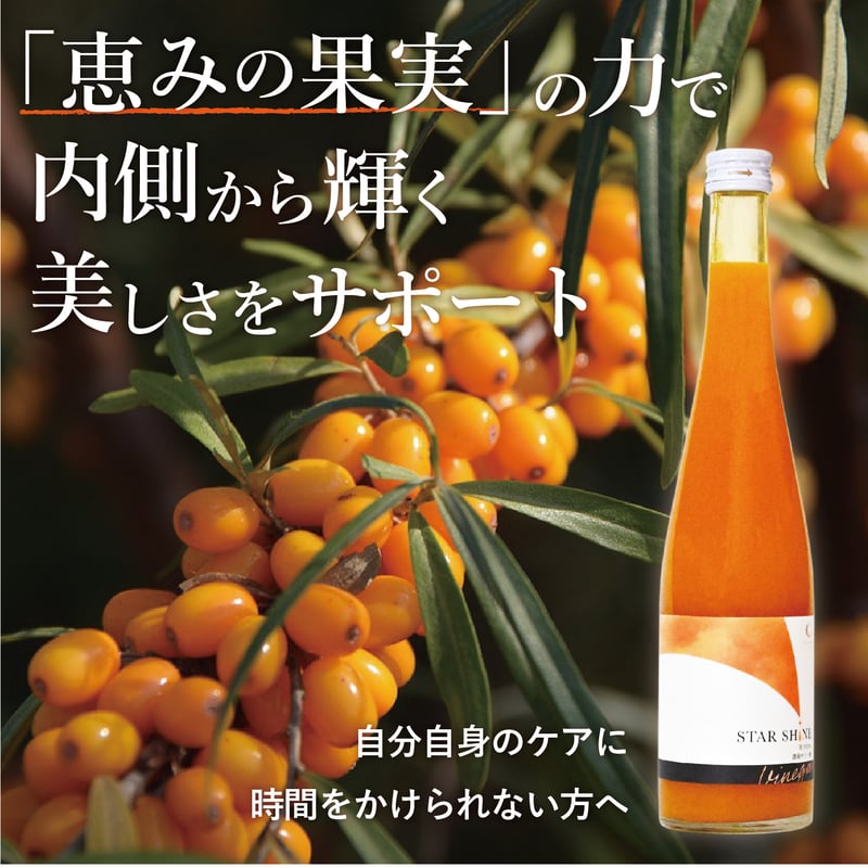 濃縮サジー酢500ml瓶(希釈タイプ/3倍) | 月星食品