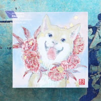 お守り柴　芍薬