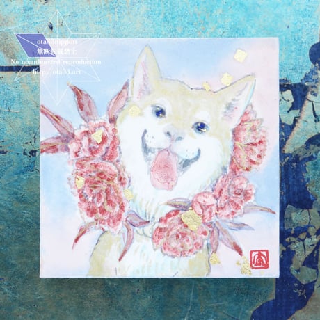 お守り柴　芍薬