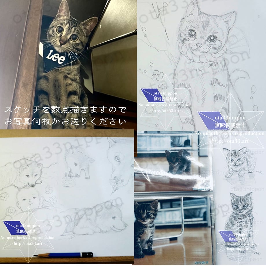 66470b8e2d349601f43b09c8