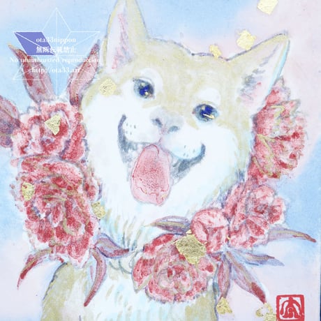 お守り柴　芍薬