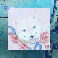 お守り柴　芍薬