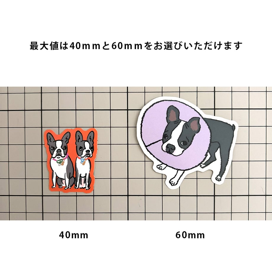 664442f48e3e650147a2d291