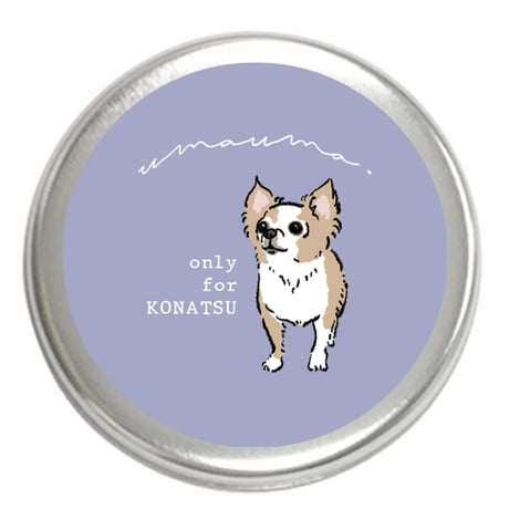 ▼(カラー)うまうま入れ缶(イラストをお持ちの方限定商品)