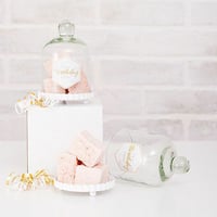ミニケーキドーム 4個セット