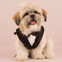 犬用タキシード 小型犬用