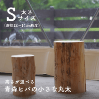高さが選べる 青森ヒバの小さな丸太 太さサイズL（直径20cm〜22cm程度