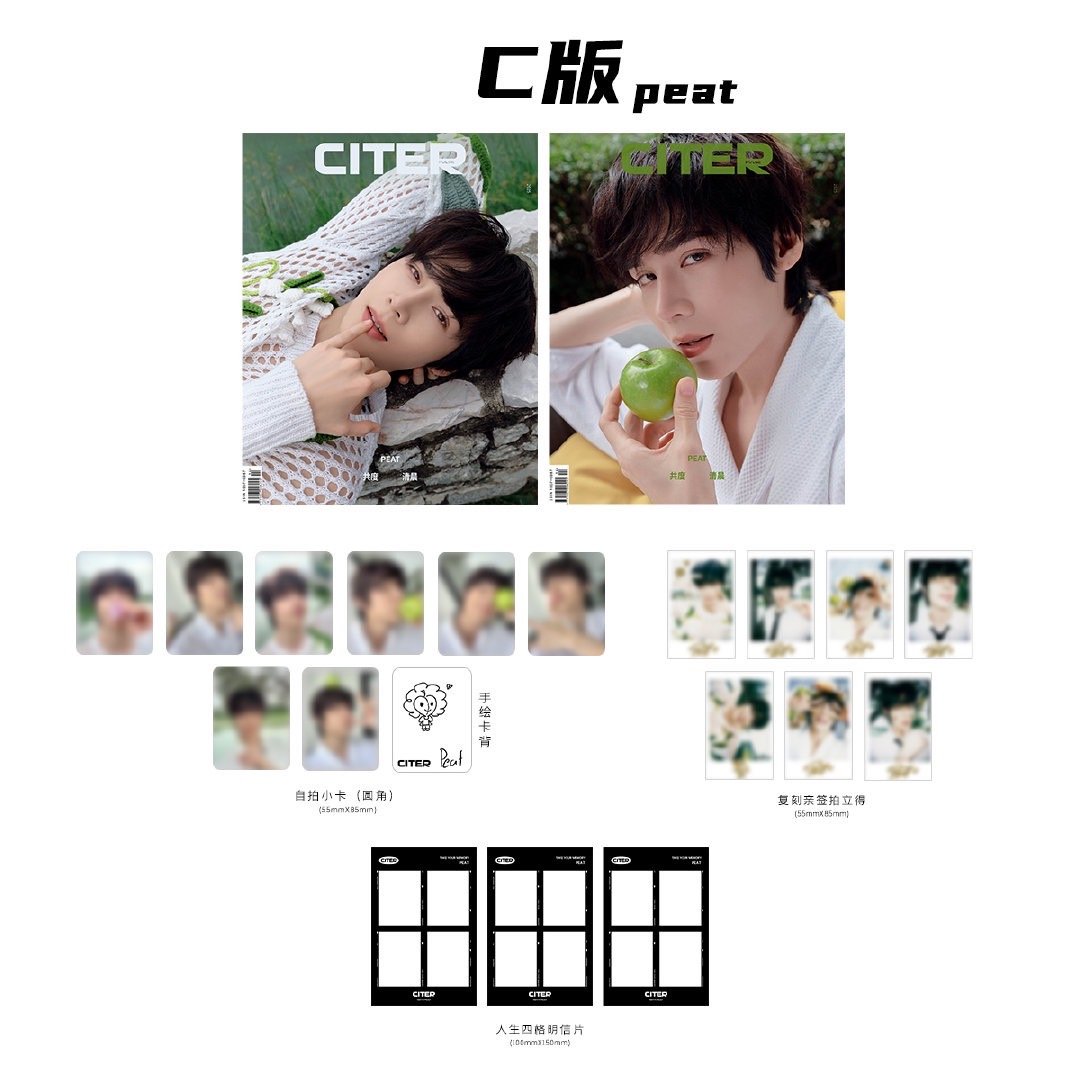 中国雑誌 CITER pulse】 Fort＆Peat－D版 中国雑誌 CITER pulse
