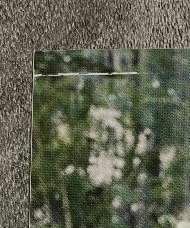 RETRO】 上村謙信＆本島純政 特別版 | ティンタイ ติ่งไทย