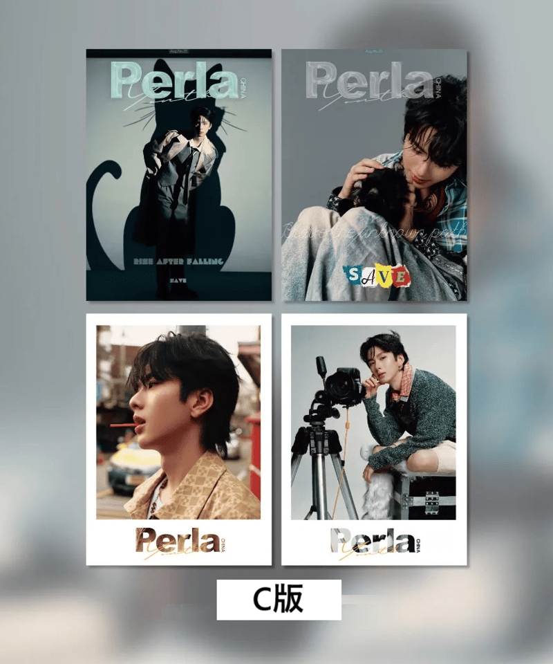 FortPeat 中国雑誌 SOFTT FortPeat 中国雑誌 softe sfote - メルカリ