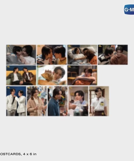 【CAT FOR CASH】Memorial Box Set