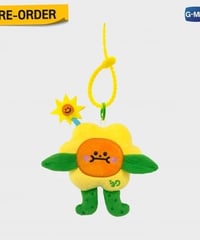 Battle Of The Writers】 Box set A＋B / A / B | テ