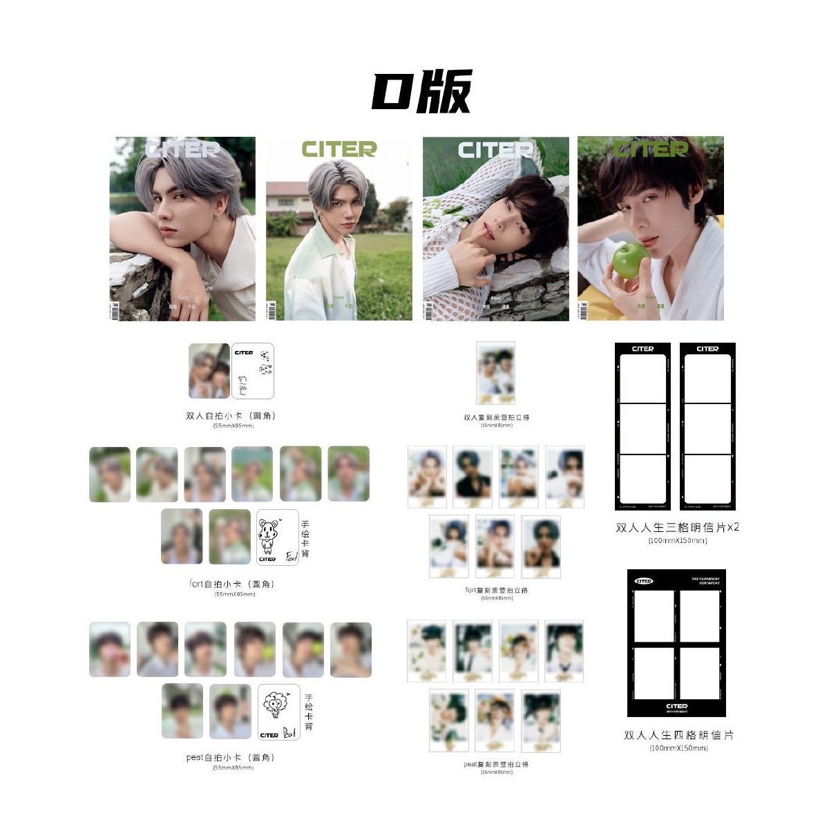 中国雑誌 CITER pulse】 Fort＆Peat－D版 | ティンタイ ติ่งไทย 