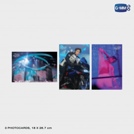 William&Est】 WE MAGNETIC FANCON DVD BOX SET |