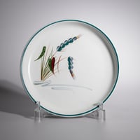Denby Greenwheat プレート（ヴィンテージ）