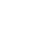 NOiSELESS