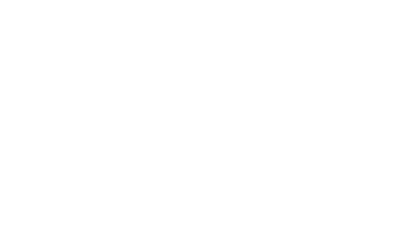 NOiSELESS